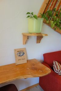 Detailaufnahme einer Pflanze in der Wohnküche auf einem kleinen Wandregal aus Holz