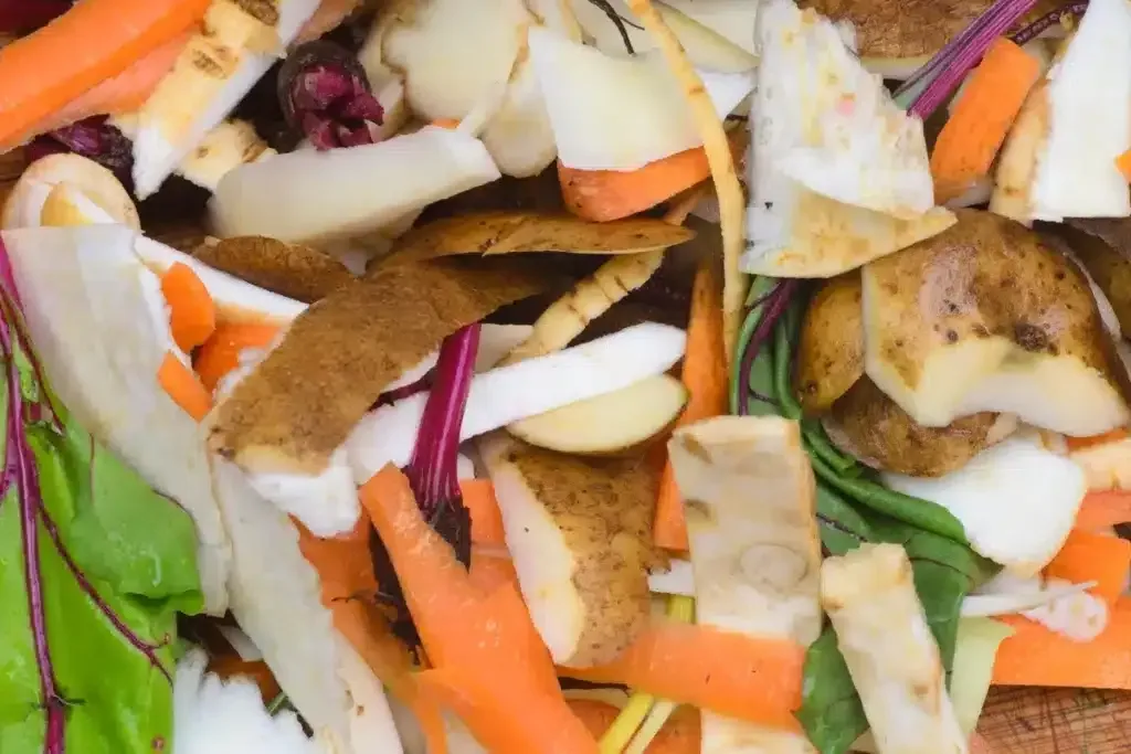 Schälreste sinnvoll nutzen: So bleiben Ihre Hühner gesund und glücklich