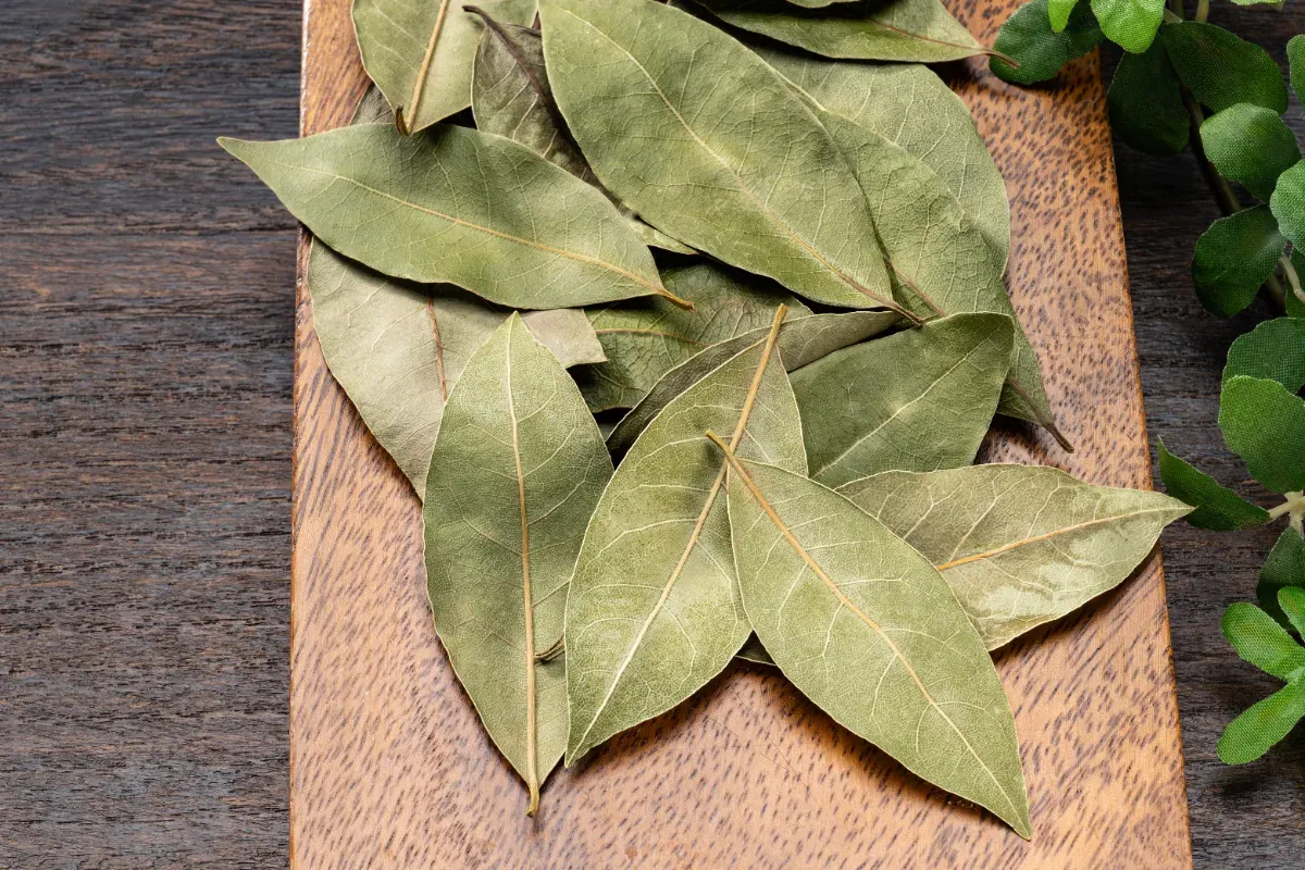 Omas Ofentrick: Sauberkeit mit Lorbeerblättern