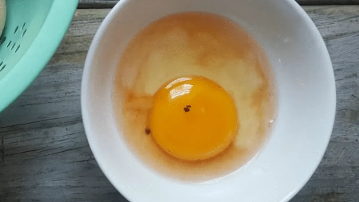 Eier: Schlüssel zur tschechischen Küche — Mythen und Fakten