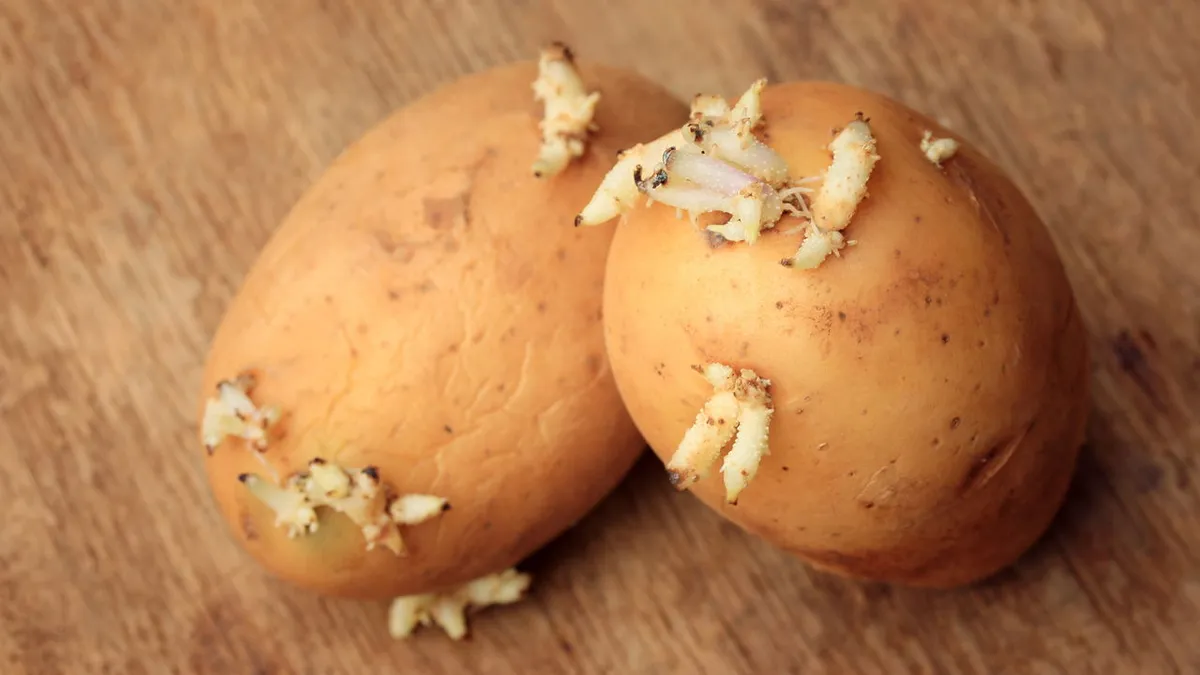 Einfache Methode, um Kartoffeln für Monate frisch zu halten