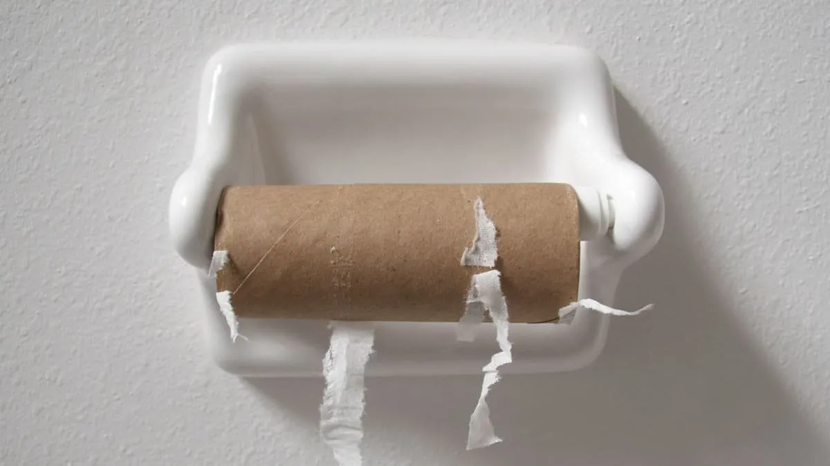 Schluss mit Toilettenpapier: Tschechien setzt auf neue Lösungen