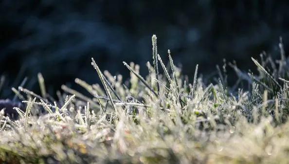Warum der Winter kein Zufall ist: Trotz eisiger Luft ist Kälte für die Natur wichtig